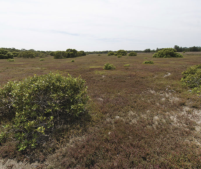 Towra Point Nature Reserve