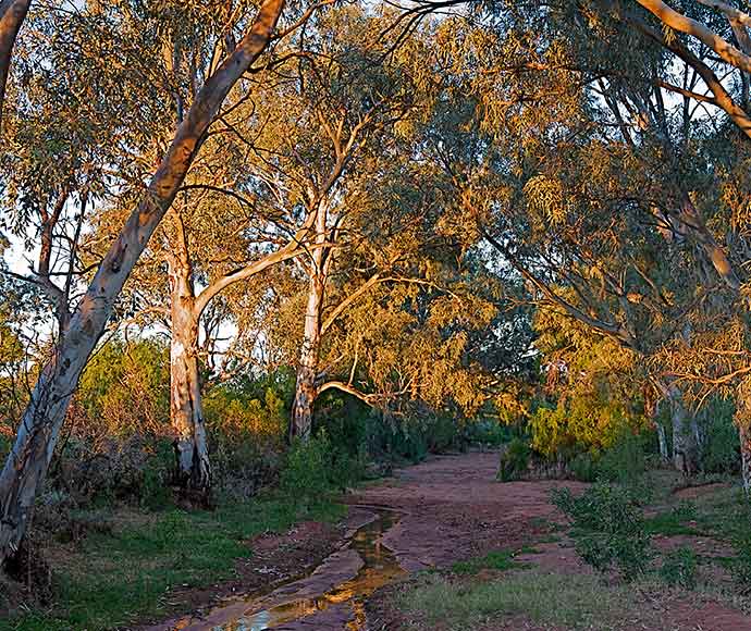 White Leeds Station is a voluntary conservation agreement partner helping manage and protect ecosystems in far west NSW