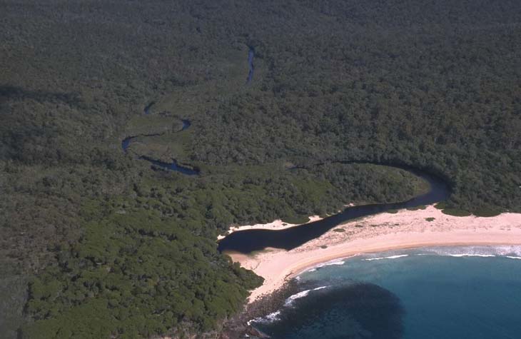 An aerial view shows Woodburn Creek flowing into the ocean. A dense green forest surrounds the water, and a sandy beach lies where they join.