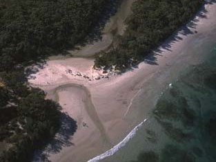 A creek running out through bushland to the beach, it forms a shallow estuary over a sandbank before meeting the ocean.