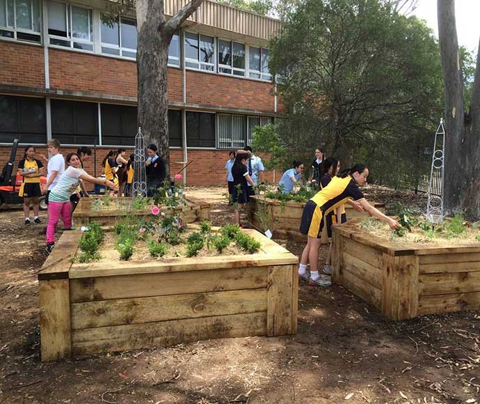 Bonnyrigg Highschool Eco Schools Grants Garden