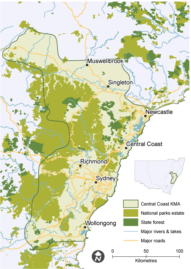 Map showing the extent of the Central Coast Koala Management Area (KMA), with national parks, state forests, major waterways and roads.