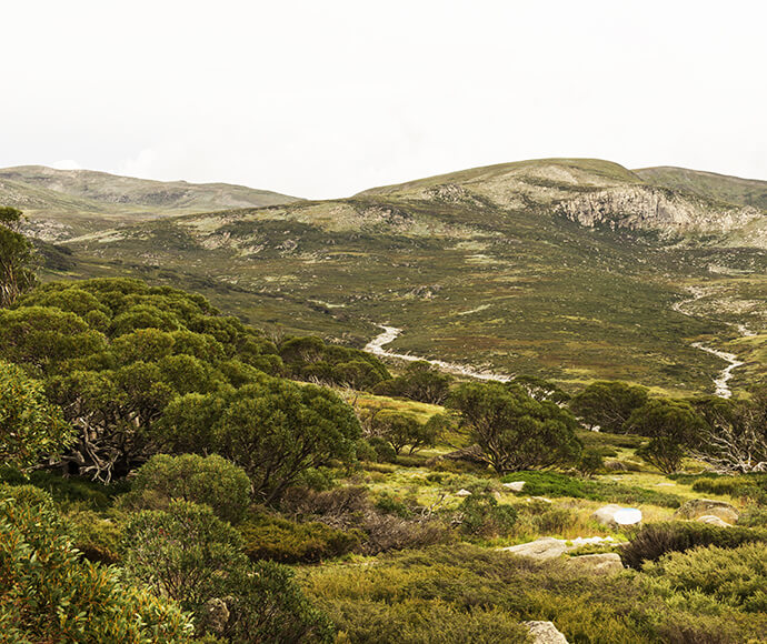 A view of Charlottes Pass lookout in Kosciuszko National Park