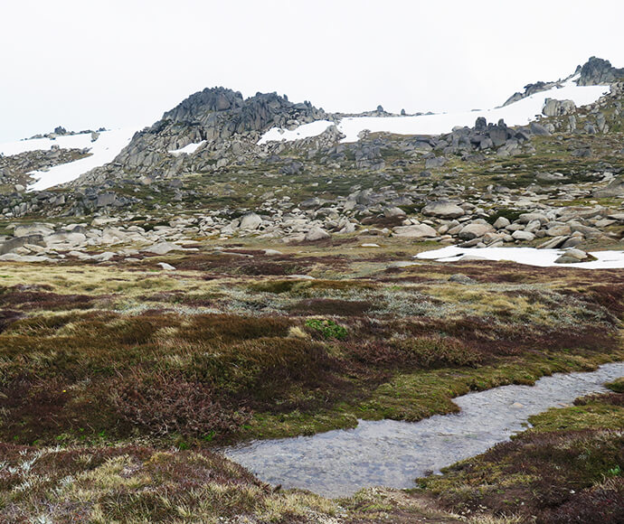 Alpine stream Ramshead Range above Thredbo