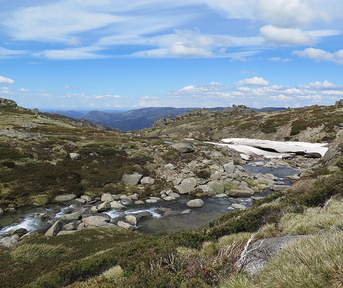 Thredbo to Mount Kosciuszko walk, alpine stream