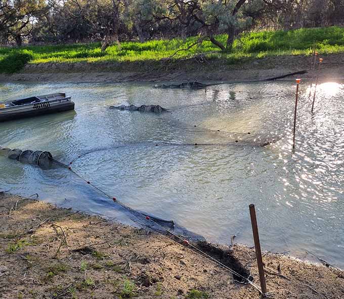 Redbank creek featuring a small boat, nets forming a partial barrier in the water, and greenery in the background