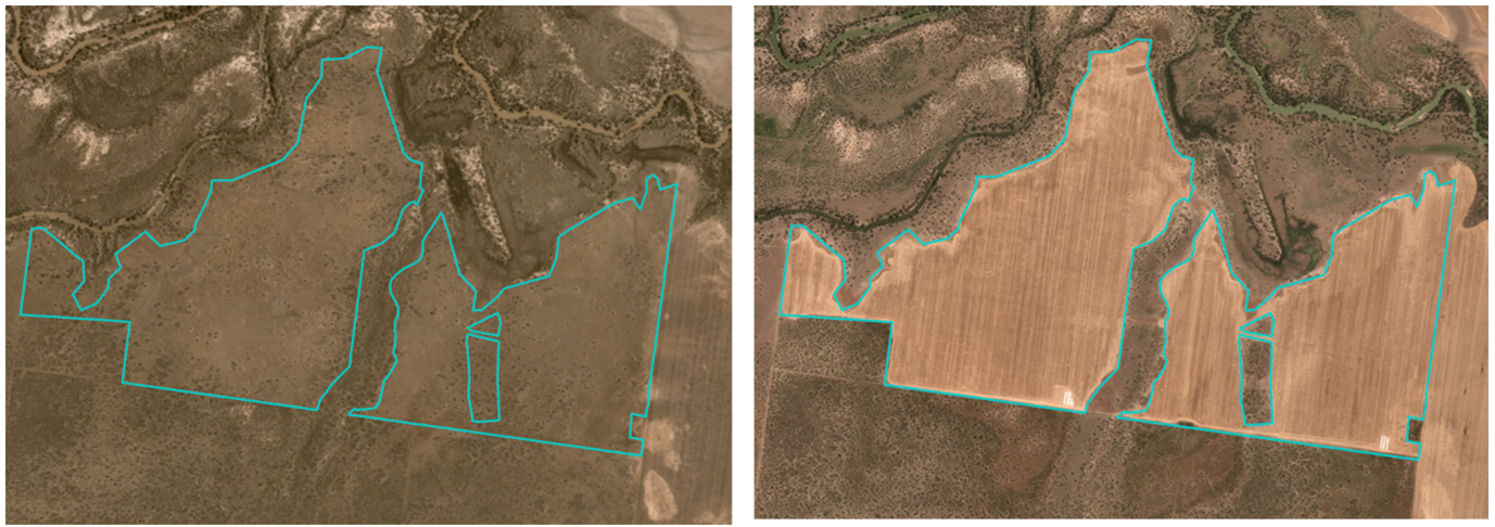 Satellite images from left to right showing before and after non woody disturbance for cropping. 