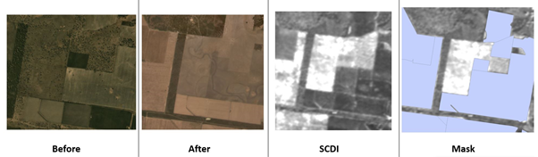 Satellite and SCDDI images from left to right showing before and after non woody clearing for agriculture with the SCDDI predicting high levels of disturbance in white and previously identified cleared areas masked out in blue.