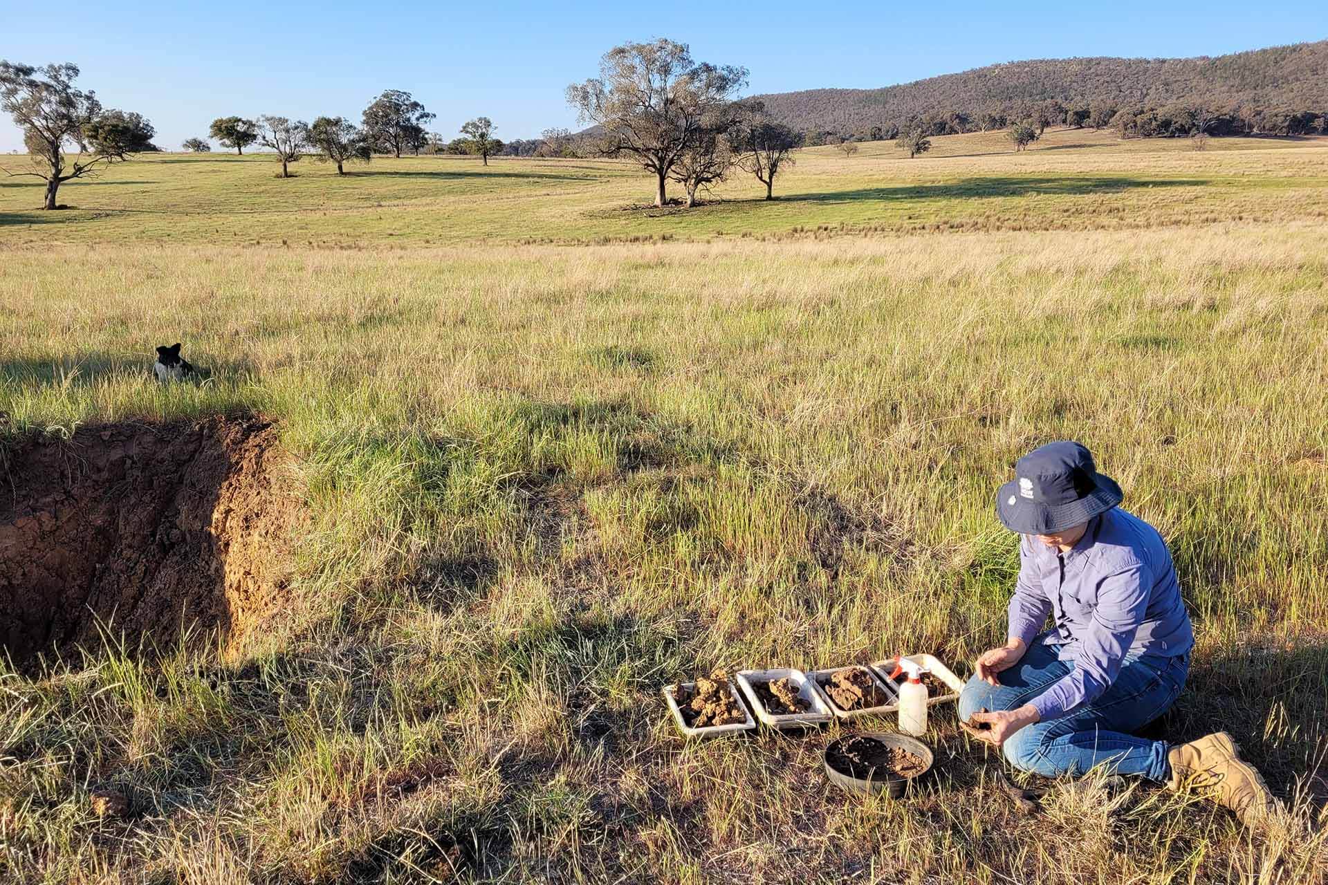 Person kneeling next to a tray with soil samples near an excavation site in a grassy field