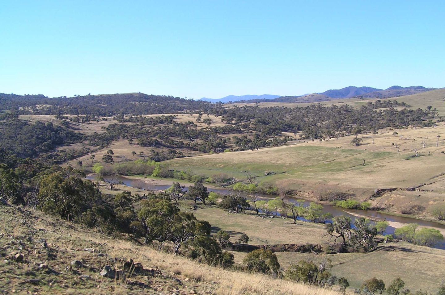  A picturesque valley landscape, framed by vibrant foliage and the Murrumbidgee River in the distance.