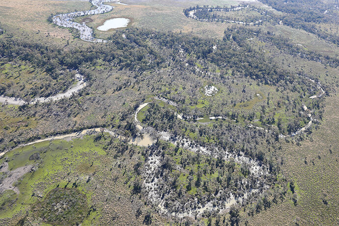 An aerial view of a river landscape, showcasing the Boomi River’s inundated anabranches, a floodplain lagoon, and various waterholes. The river’s meandering path is surrounded by lush greenery and interspersed with pockets of water, creating a complex network of natural waterways. This image illustrates the dynamic nature of river systems in floodplain areas and their role in creating diverse habitats.