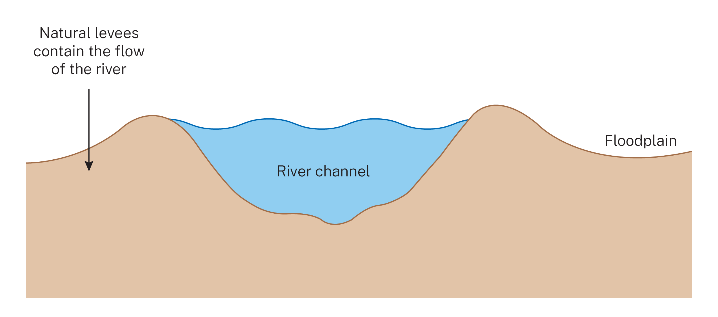 Drawing showing the Barmah Choke river channel, where natural levees containing the flow of the river on the left and floodplain on the right of the river channel.