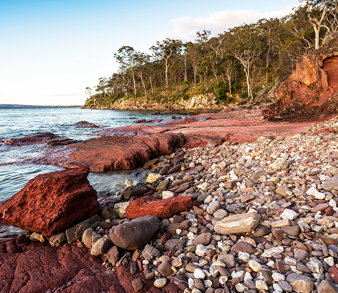 Beach strewn with white pebbles and red boulders, trees and water in distance.