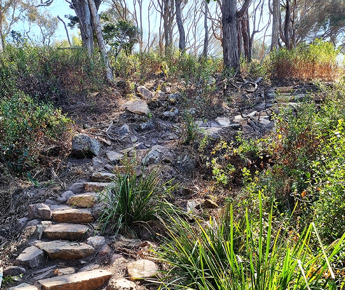 Newly constructed stone steps on the walking track in Beowa National Park, surrounded by grassy terrain and scattered trees.