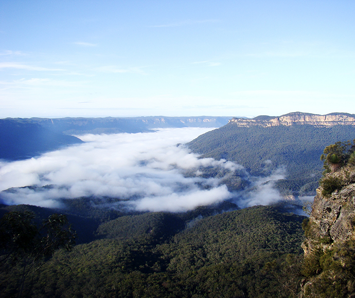 Three Sisters rock formation standing tall against a lush green landscape at Echo Point, with a clear blue sky in the background. The rugged sandstone cliffs rise dramatically from the forest below, casting long shadows in the late afternoon sun. Tourist lookout platforms dot the edge, providing a perfect vantage point to take in the breathtaking scenery.