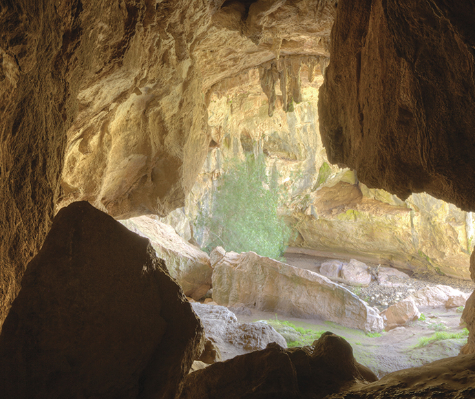 Inside the Arch Cave in the Borenore Karst Conservation Reserve