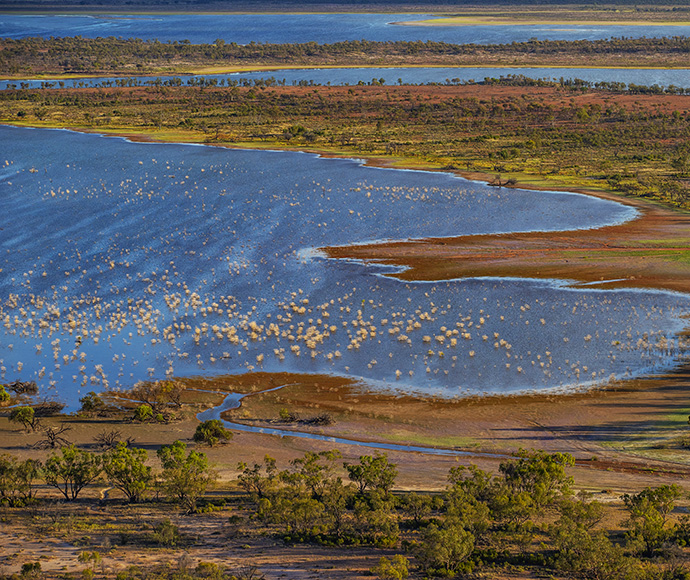 A calm lake with scattered vegetation on its surface, surrounded by red and green terrain. The shoreline transitions from marshy areas to sparse trees and bushes in a semi-arid landscape.