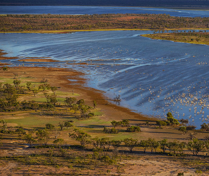 A vast body of water with a few birds scattered across its calm surface.