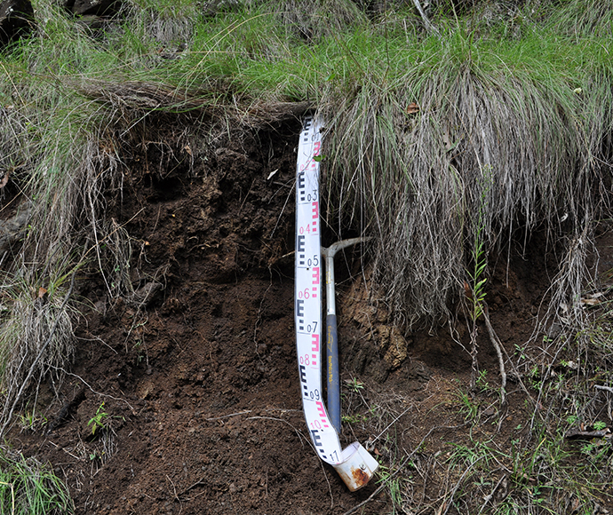 Profile of a Brown Ferrosol near Glenrock in the Hunter catchment NSWc