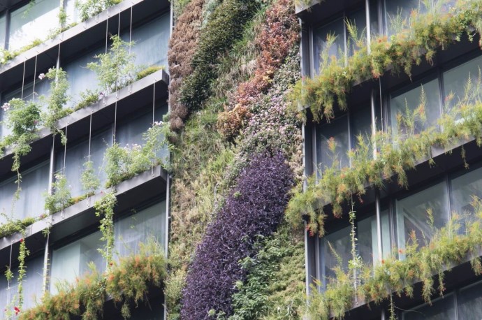 A vertical garden on an apartment complex in Sydney 