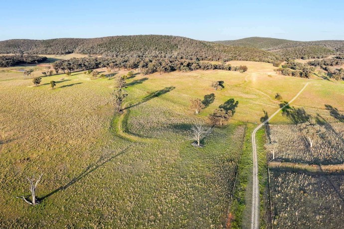 Aerial view of a rural landscape with patches of greenery and a winding dirt road