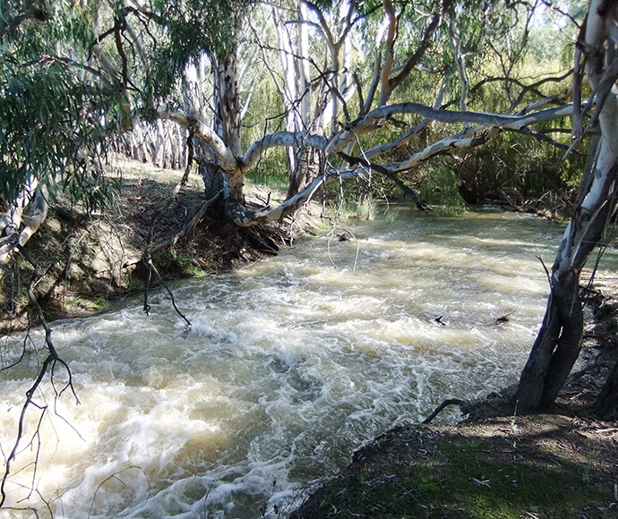 Water flowing in Cockran Creek