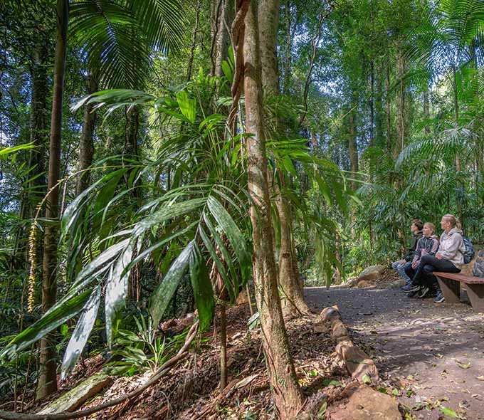 Three tourists seated on a bench in a forest with diverse vegetation and tall trees