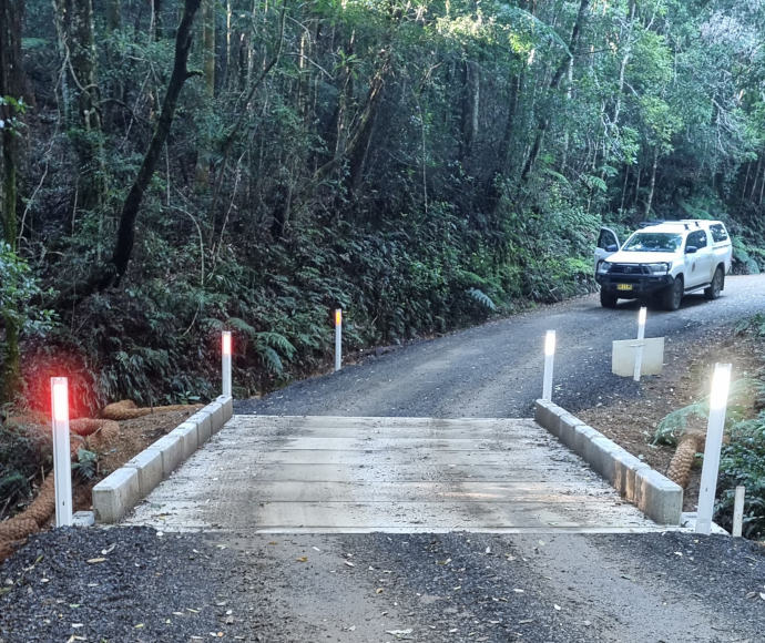 A narrow grey gravelly road with vivid green ferns and foliage growing right to the edge, leading to a small cement bridge