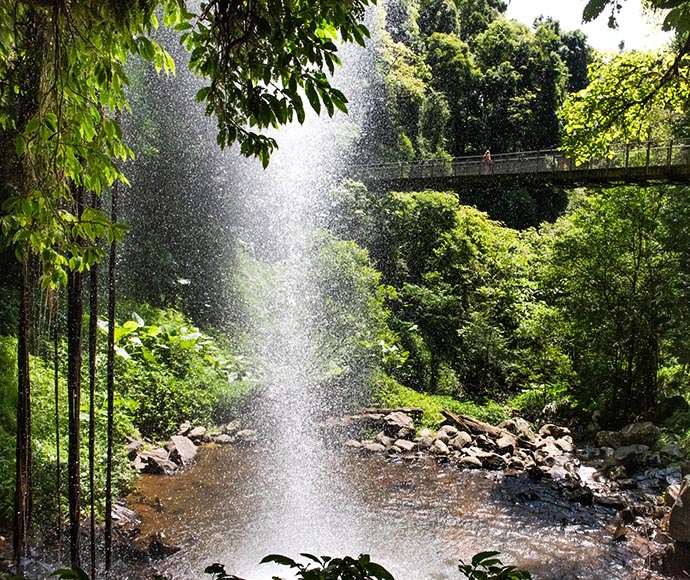 Crystal Shower Falls in Dorrigo National Park, cascading over a rocky cliff surrounded by lush green rainforest, with water falling into a serene pool below.