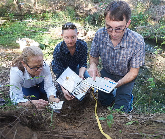 Describing a soil profile and recording its description in eDIRT using a tablet. 