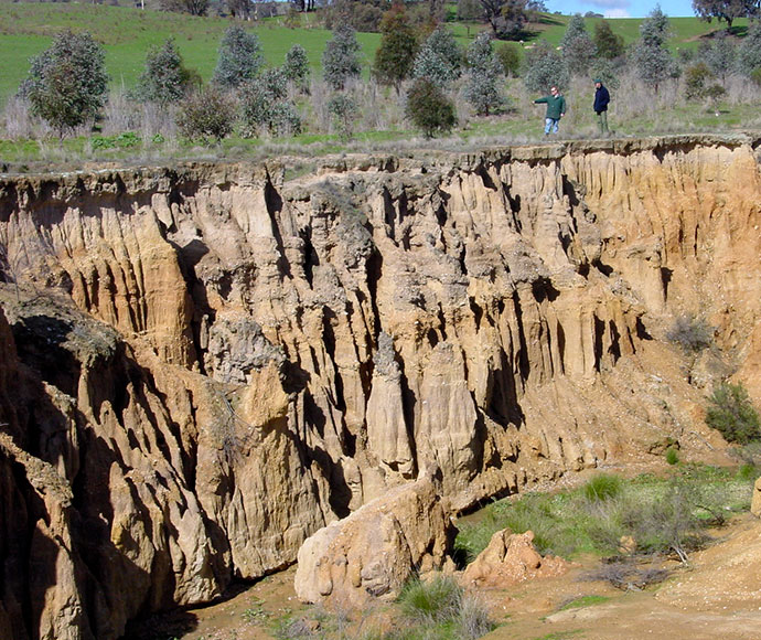 The sides of a gully are deeply creviced and uneven due to erosion.