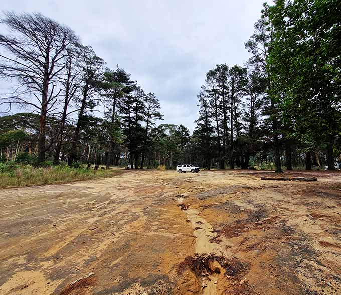 Muddy road with white vehicle in distance, trees on either side