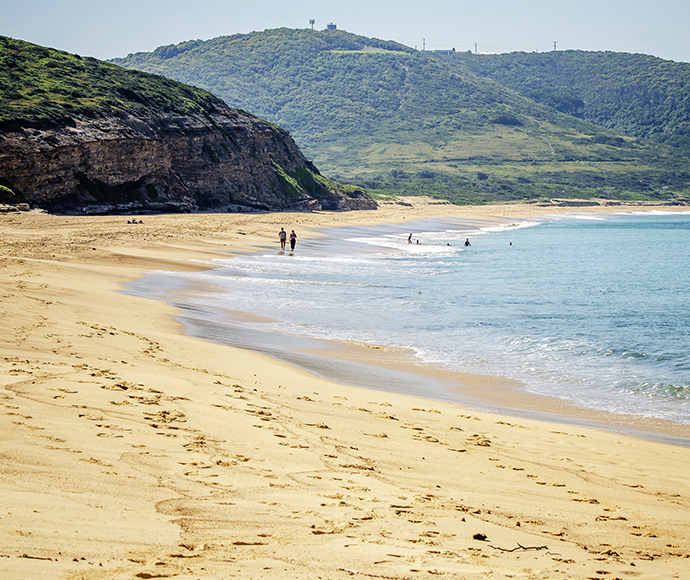 Footprints in the sand on a sunny beach, symbolizing a journey through a calm coastal landscape.