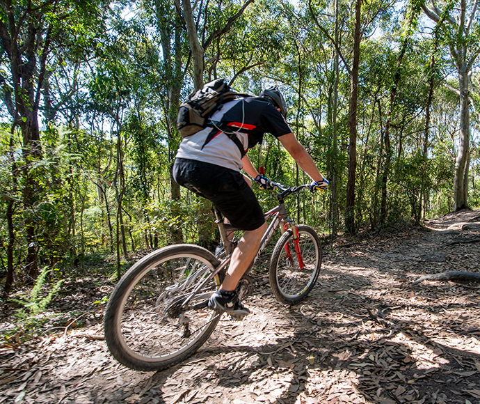  A cyclist navigating a dirt trail, emphasizing the connection between nature and physical activity.