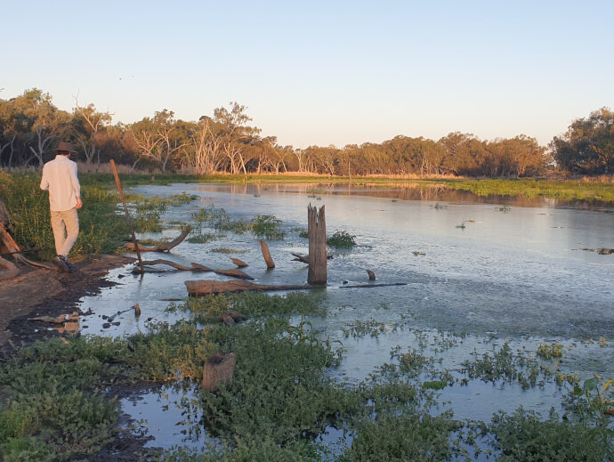 A flat expanse of water extends from the right front side to the mid-left of the photo. The water is like glass and reflect a light grey cloudy sky and trees that line the edge of the water that extends across the centre of the image. A large tree with a dark brown trunk on the left side hangs over the water with the dirt bank of the waterway at front left. 