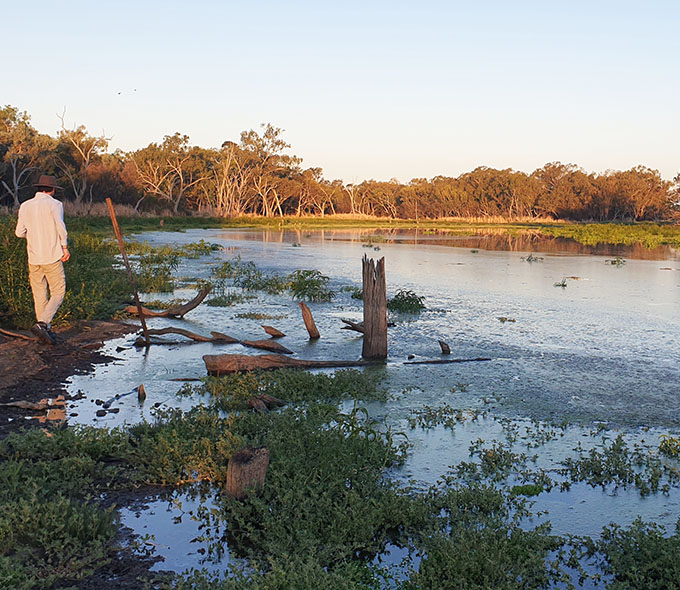 A person standing by the edge of a body of water, possibly a lake or river, during sunrise or sunset. The water has some greenery floating on the surface, and there are trees in the background. The lighting suggests an early morning or late evening scene, adding to the tranquility and natural beauty of the setting.