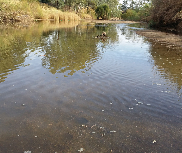 Low flows connecting pools on the Gwydir between Boolooroo and Yarraman, April 2016