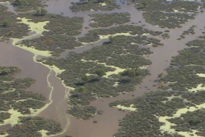 Aerial view of Narran Lakes showing a network of water channels weaving through patches of green vegetation and areas of open water, reflecting the complexity and biodiversity of this wetland ecosystem.