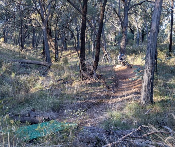 A cyclist mountain biking on a dirt track through the forest.