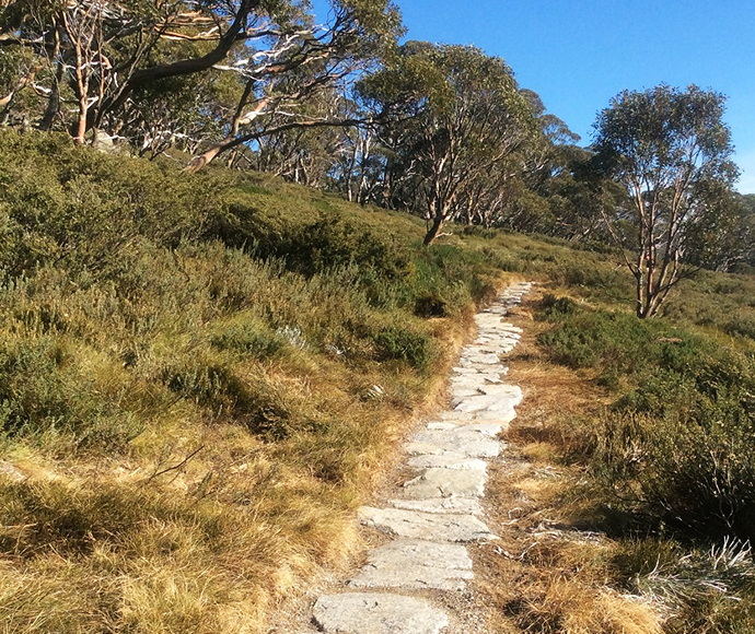 Rock paving on the new walking track from Charlotte Pass to Guthega