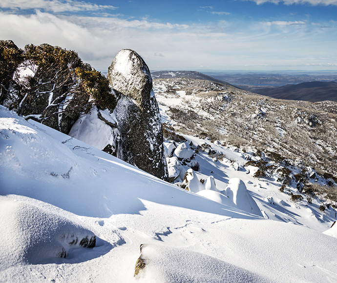 View of Mount Perisher in Kosciuszko National Park, featuring snow-covered slopes and ski trails. The area is popular for winter sports and offers stunning alpine scenery with rugged mountain peaks.