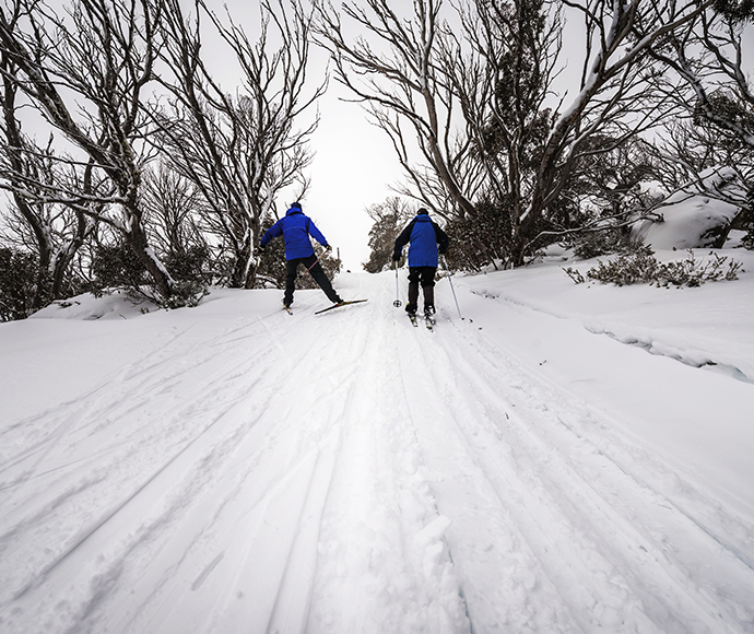 Cross-country skiers navigating the trails at Perisher in Kosciuszko National Park. The scene features snow-covered paths winding through a picturesque alpine landscape with snow gums and distant mountain peaks.