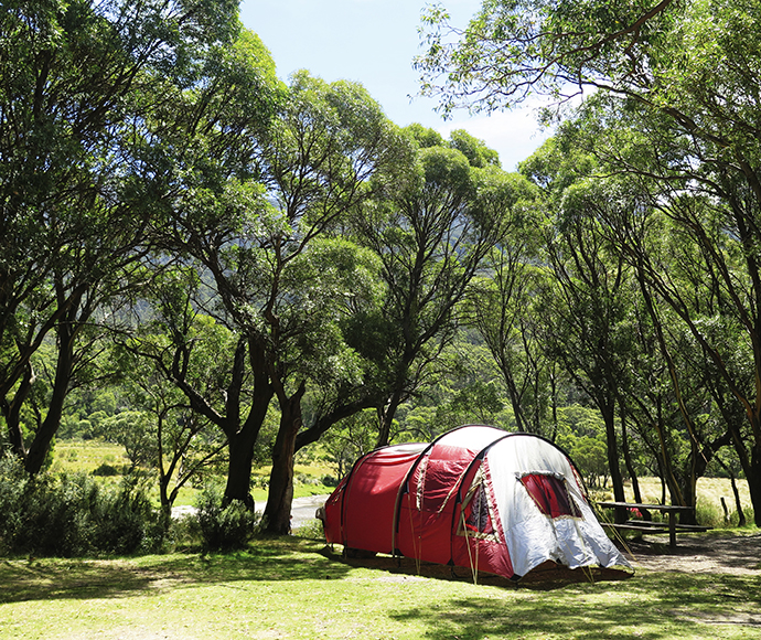 Thredbo Diggings Campground in Kosciuszko National Park, featuring tents set up among snow gums by the Thredbo River. The campground offers a serene setting with easy access to hiking, mountain biking, and fishing.