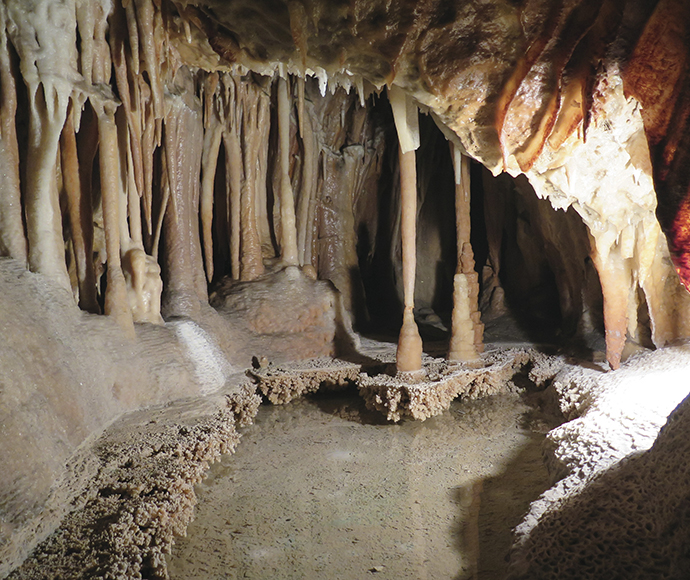 Interior view of Jillabenan Cave in Kosciuszko National Park, showcasing delicate formations such as soda straw stalactites, flowstone shawls, cave coral, and helictites. The cave is known for its intricate and fragile structures.