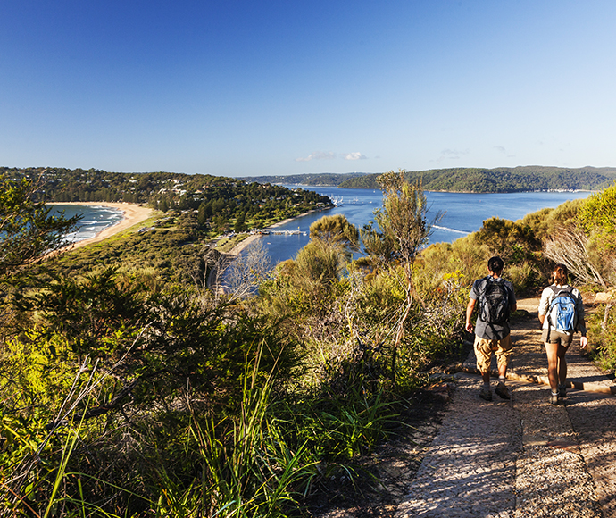 A couple of walkers on the Barrenjoey Lighthouse track in Ku-ring-gai Chase National Park. The path is surrounded by lush vegetation, and the walkers are enjoying the scenic views as they make their way up the trail.