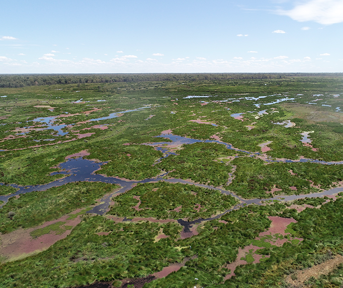 Aerial view of a wetland ecosystem with numerous water bodies interconnected by channels, surrounded by green vegetation and patches of reddish plants under a clear sky.