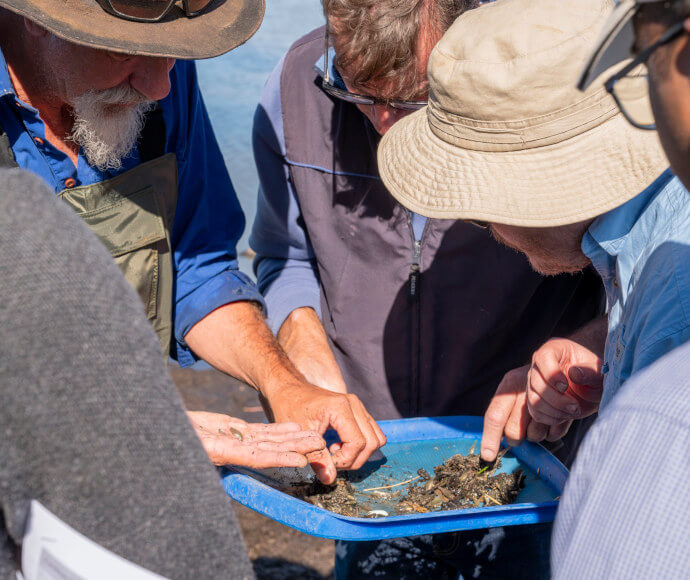 A group of individuals with sun hats examining marine specimens in a shallow blue tray, possibly during a field study or educational activity, highlighting the hands-on aspect of marine biology and environmental science.