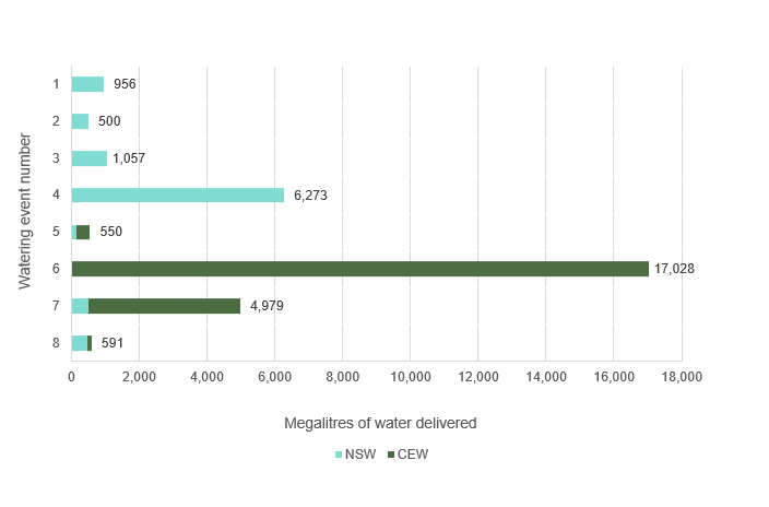 Bar chart showing water delivery to the Lachlan catchment in the 2019-20 water year.