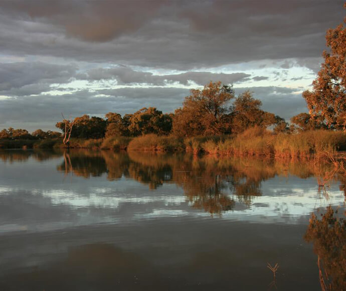 A cloudy sky over Willandra Creek, where lines of brownish Black box and lignum trees stand at the water’s edge. The trees’ reflections are clearly visible in the calm water, adding to the serene atmosphere.