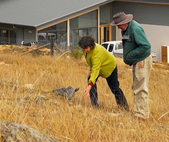 Landowners inspecting native grasses on their Gundharwar property